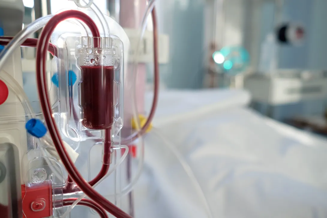 Leading the Way in Kidney Dialysis Research