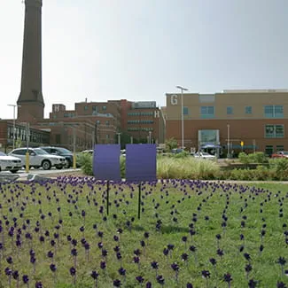 Overdose Awareness Day 2020